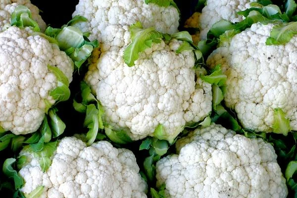 South Africa's Export of Cauliflower and Broccoli Jumps 23% to $2.6 Million in 2023